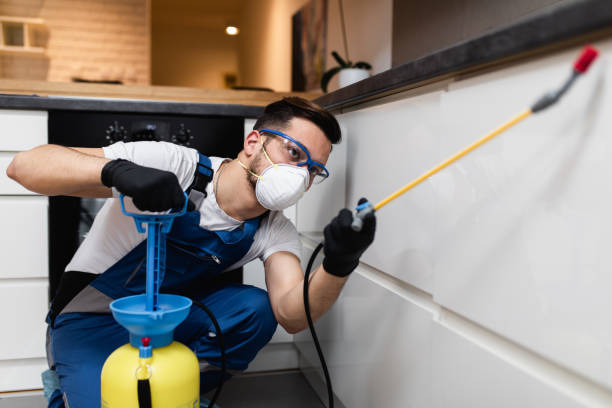 Best Local Pest Control Services  in Washington Park, IL