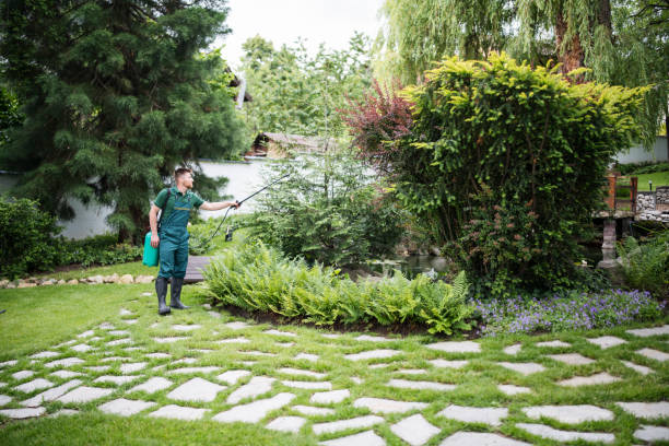 Flea Control Services in Washington Park, IL