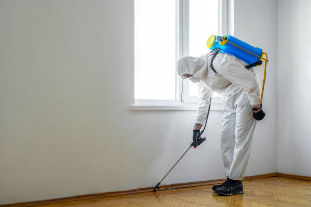 Best Pest Removal Services  in Washington Park, IL