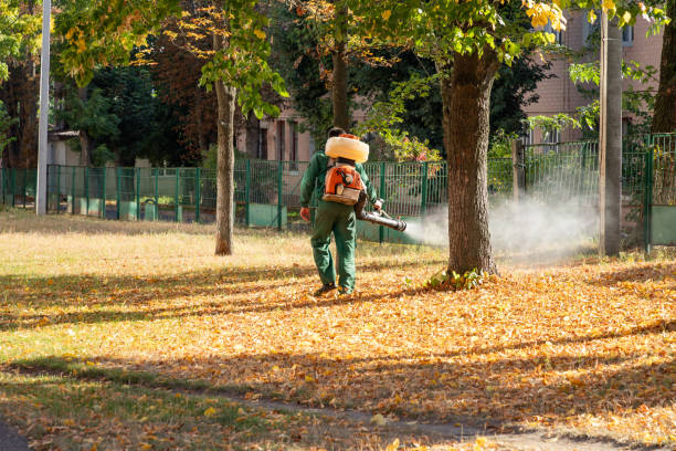 Best Affordable Pest Control Services  in Washington Park, IL