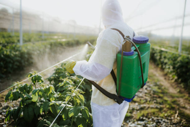 Washington Park, IL Pest Control Company